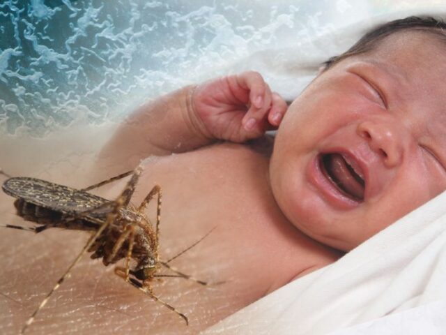 HOW TO HANDLE MALARIA OF YOUR CHILD
